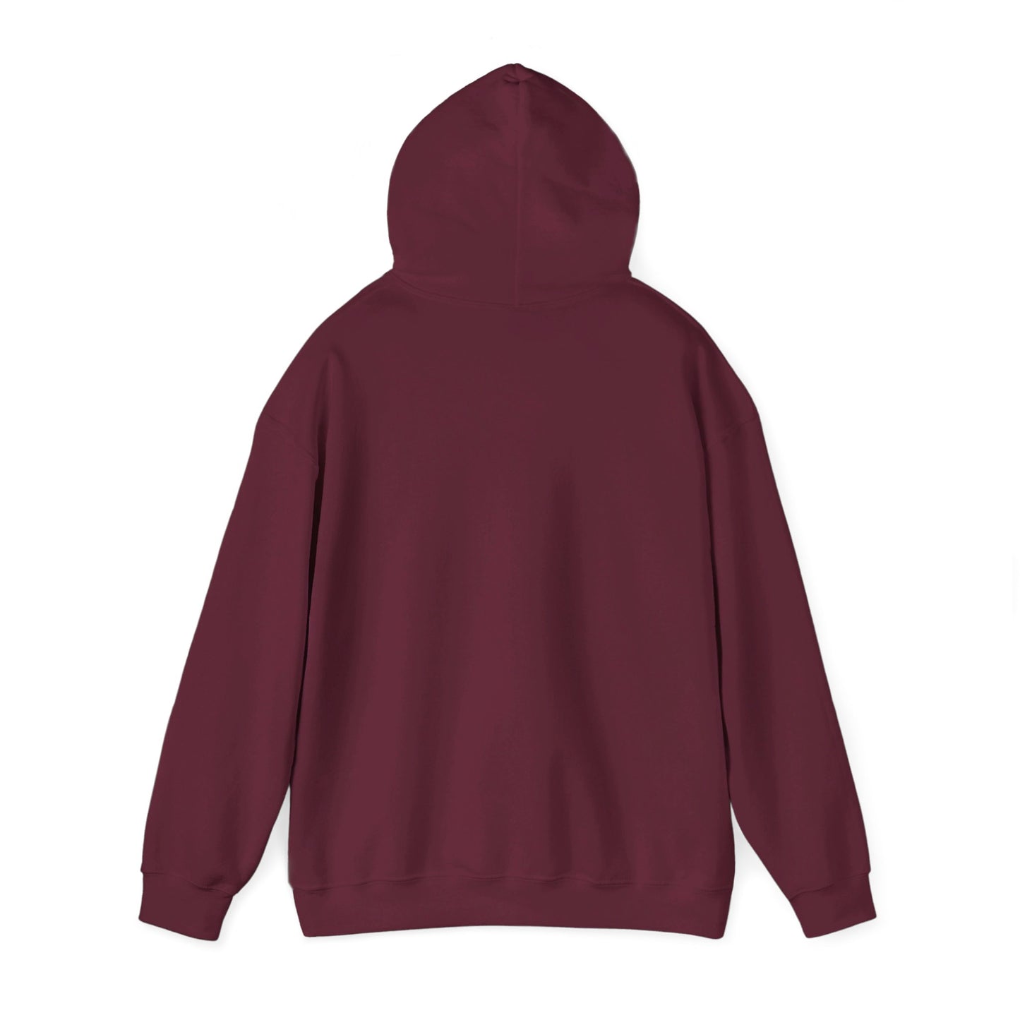 Bentonville Peaks: Northwest Arkansas Hoodie
