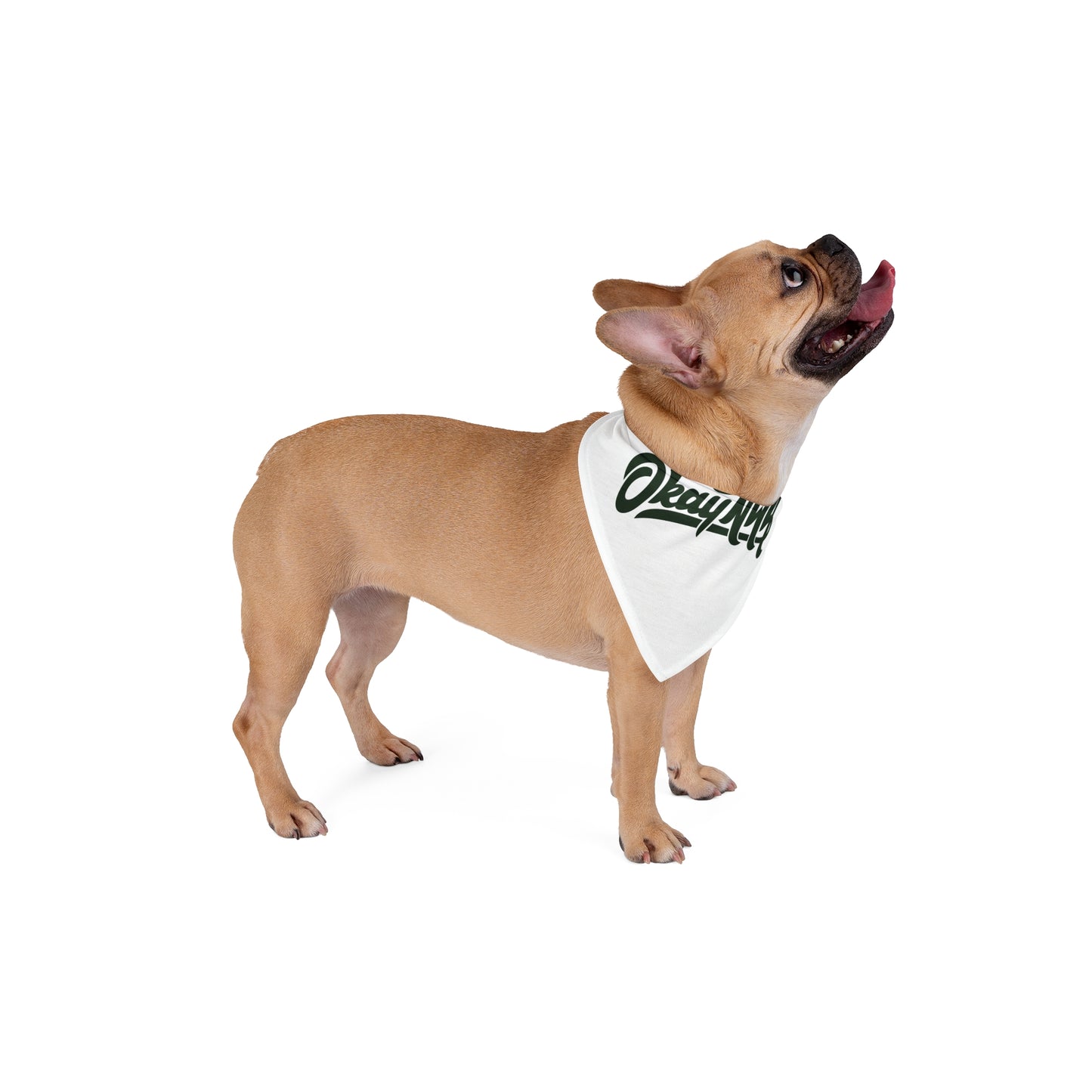 OkayNWA Pet Bandana